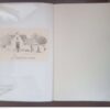 Indigenous Trees Of The Cape Peninsula – M. Whiting Spilhaus secondhand book
