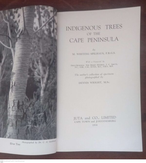 Indigenous Trees Of The Cape Peninsula – M. Whiting Spilhaus secondhand book