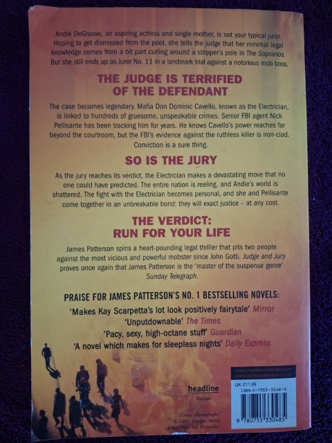 Judge & Jury – James Patterson, Andrew Gross secondhand book