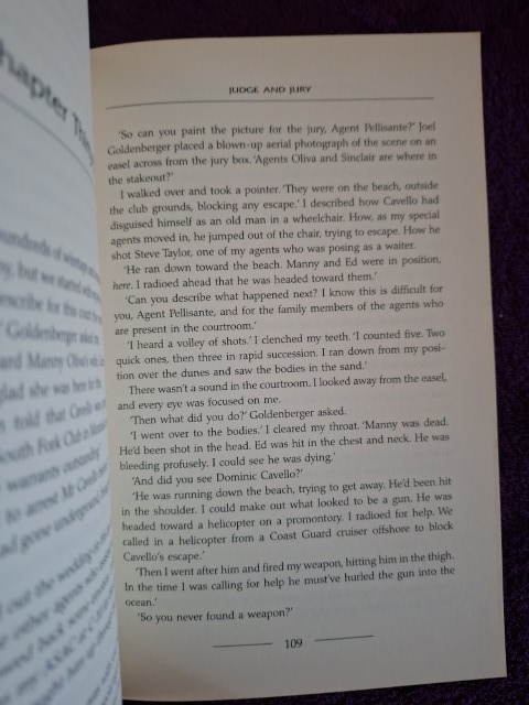 Judge & Jury – James Patterson, Andrew Gross secondhand book