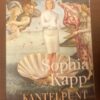 Kantelpunt — Sophia Kapp secondhand book