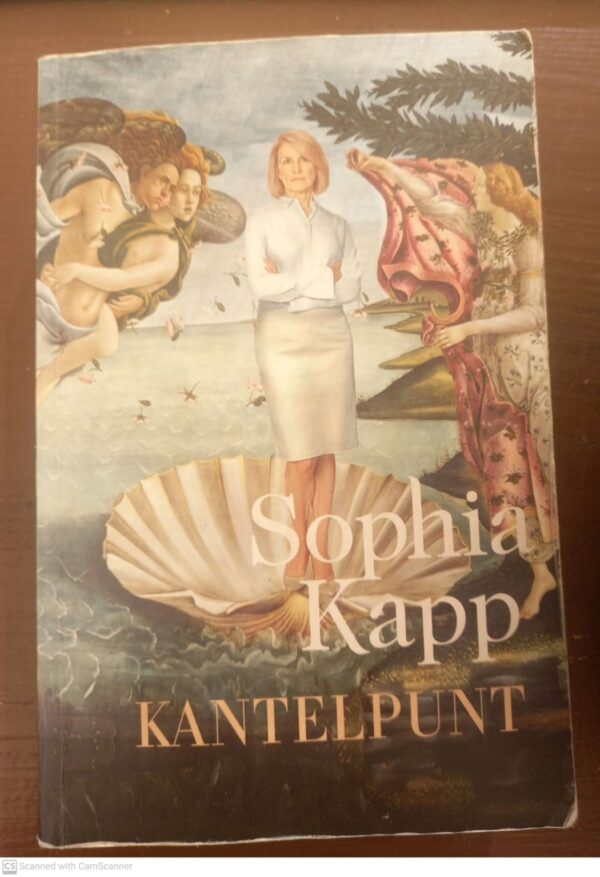 Kantelpunt — Sophia Kapp secondhand book
