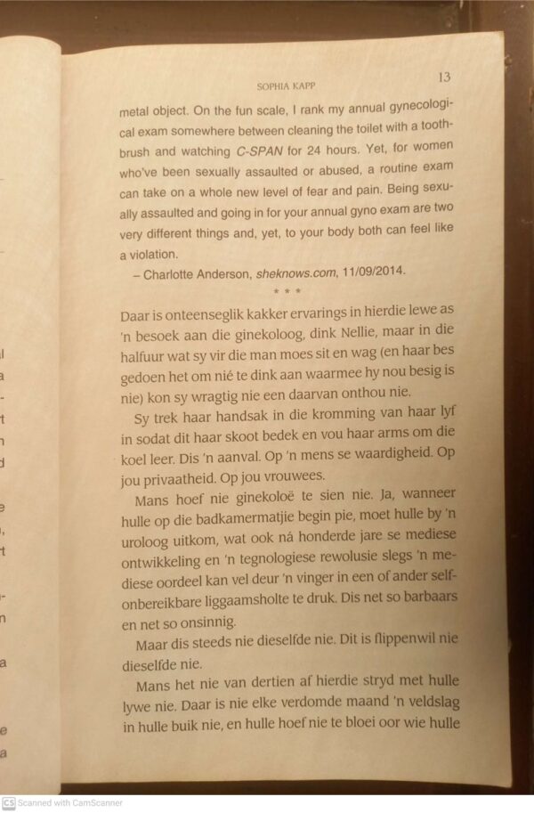 Kantelpunt — Sophia Kapp secondhand book