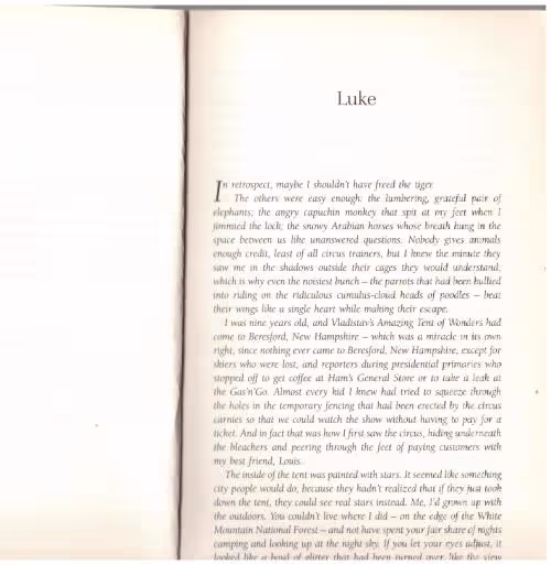 Lone Wolf-6 Lone Wolf — Jodi Picoult secondhand book