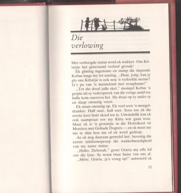 Moeder Van Die Bruid — Reinette De Villiers secondhand book