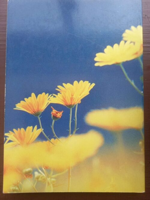 Namakwaland En Clanwilliam: Veldblomgids Van Suid-Afrika 1 – Le Roux, Schelpe secondhand book