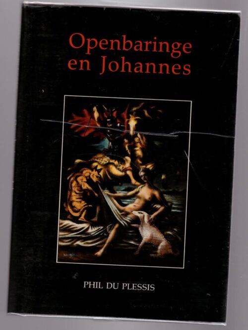 Openbaringe En Johannes -- Tinus Van Niekerk