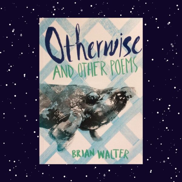 Otherwise And Other Poems – Brian Walter secondhand book