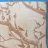 Our South African Birds | Ons Suid-Afrikaanse Voëls – Doctor Austin Roberts secondhand book