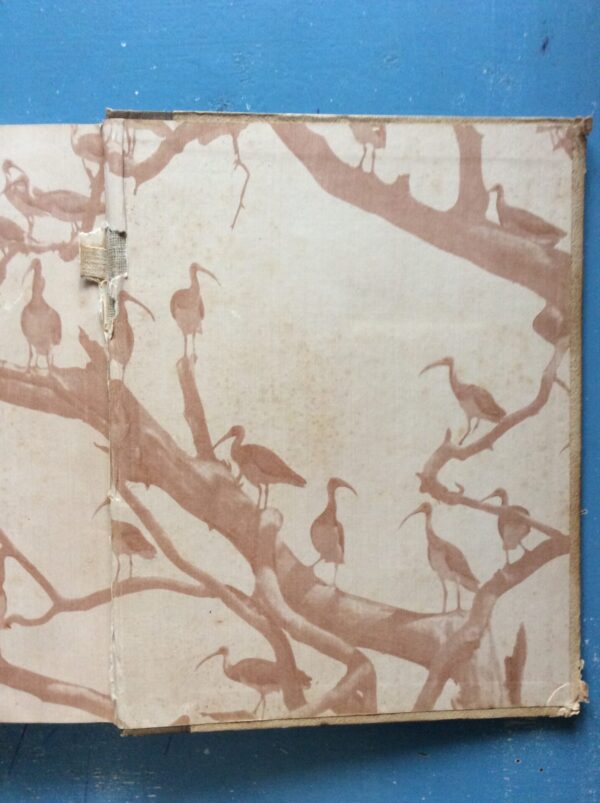 Our South African Birds | Ons Suid-Afrikaanse Voëls – Doctor Austin Roberts secondhand book