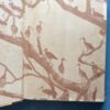 Our South African Birds | Ons Suid-Afrikaanse Voëls – Doctor Austin Roberts secondhand book