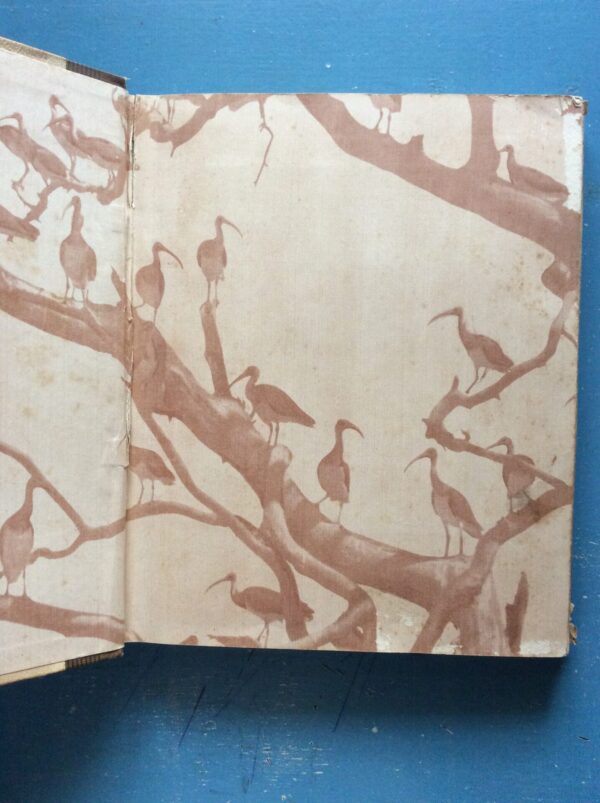 Our South African Birds | Ons Suid-Afrikaanse Voëls – Doctor Austin Roberts secondhand book