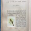Our South African Birds | Ons Suid-Afrikaanse Voëls – Doctor Austin Roberts secondhand book