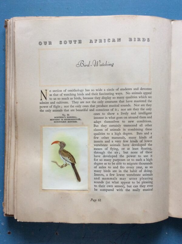 Our South African Birds | Ons Suid-Afrikaanse Voëls – Doctor Austin Roberts secondhand book