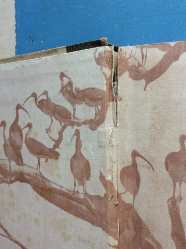 Our South African Birds | Ons Suid-Afrikaanse Voëls – Doctor Austin Roberts secondhand book