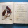 Our South African Birds | Ons Suid-Afrikaanse Voëls – Doctor Austin Roberts secondhand book