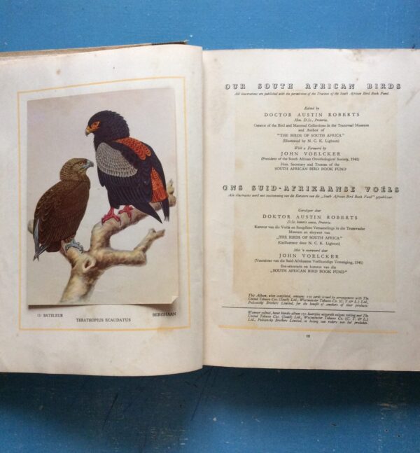 Our South African Birds | Ons Suid-Afrikaanse Voëls – Doctor Austin Roberts secondhand book