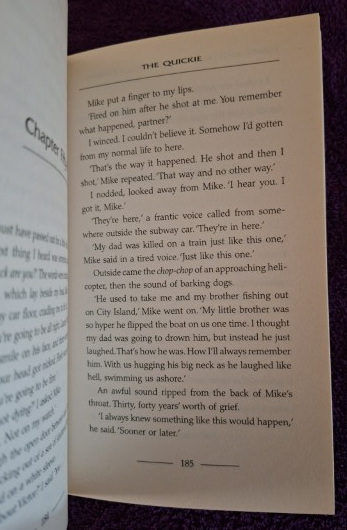 The Quickie – James Patterson, Michael Ledwidge secondhand book
