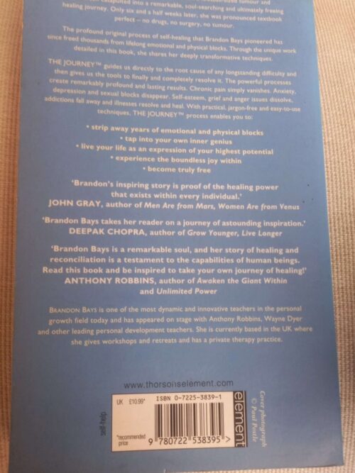 The Journey: An Extraordinary Guide To Healing Life And Setting Yourself Free – Brandon Bays secondhand book