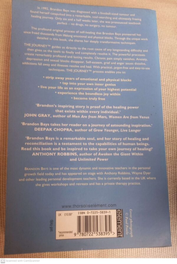 The Journey: An Extraordinary Guide To Healing Life And Setting Yourself Free – Brandon Bays secondhand book