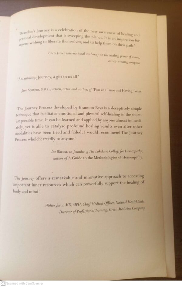 The Journey: An Extraordinary Guide To Healing Life And Setting Yourself Free – Brandon Bays secondhand book