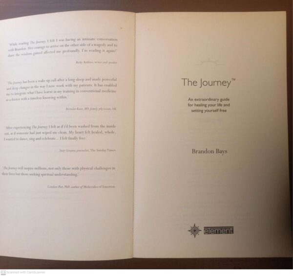 The Journey: An Extraordinary Guide To Healing Life And Setting Yourself Free – Brandon Bays secondhand book
