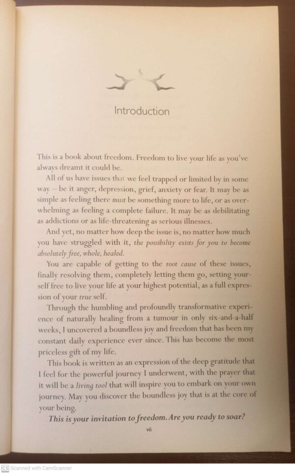 The Journey: An Extraordinary Guide To Healing Life And Setting Yourself Free – Brandon Bays secondhand book