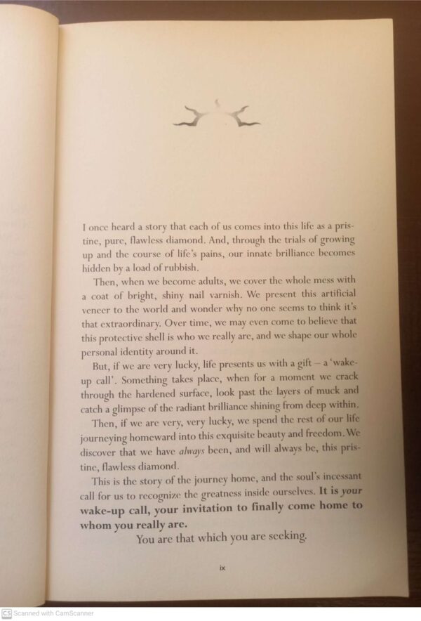 The Journey: An Extraordinary Guide To Healing Life And Setting Yourself Free – Brandon Bays secondhand book