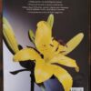 The Complete Book Of Bulbs – Brian Mathew, Philip Swindells secondhand book