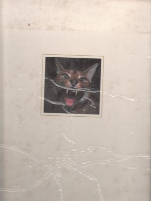 Wildernis-Daeraad — Peter Pickford secondhand book