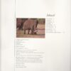 Wildernis-Daeraad — Peter Pickford secondhand book