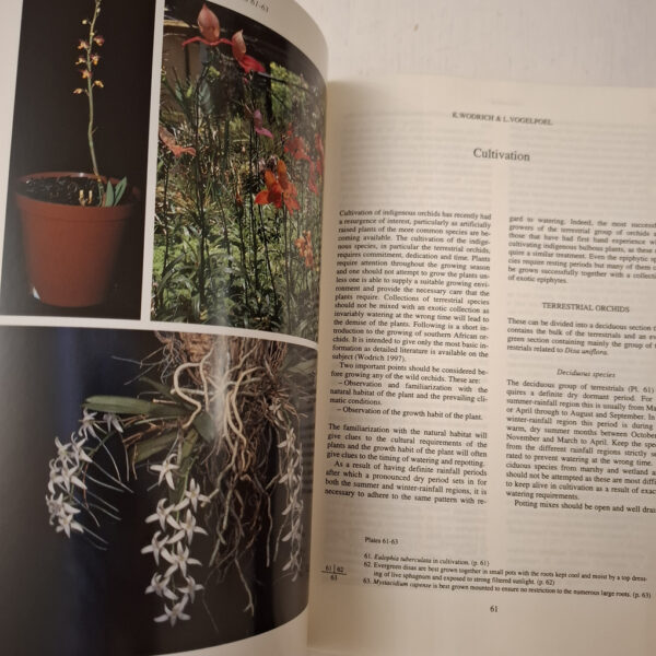 Orchids Of Southern Africa – H. P. Linder; H. Kurzweil secondhand book