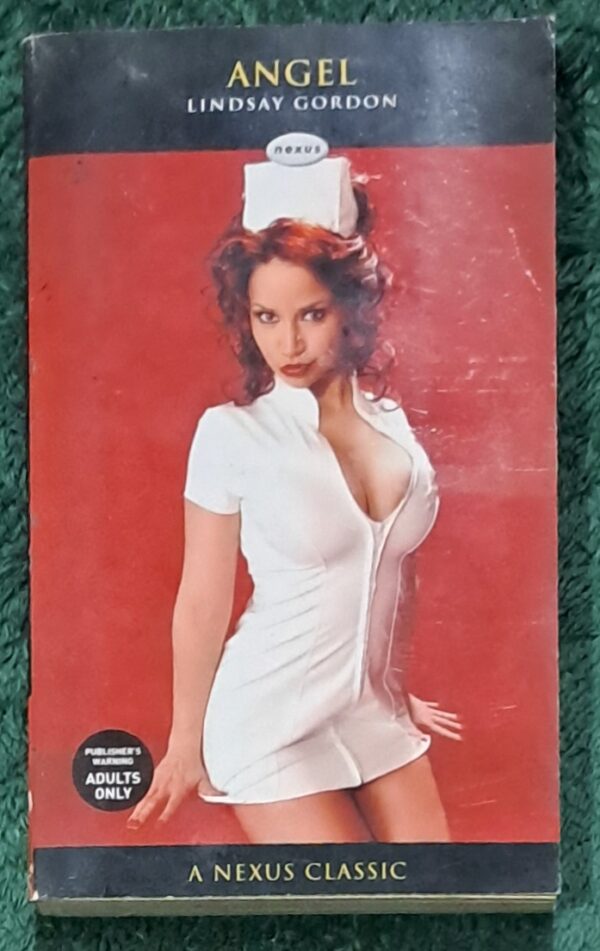 Angel - Lindsay Gordon Angel – Lindsay Gordon secondhand book