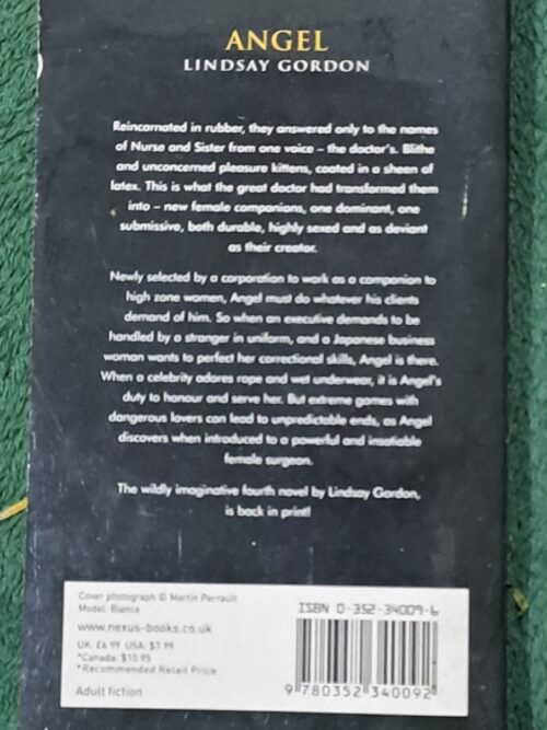 Angel – Lindsay Gordon secondhand book