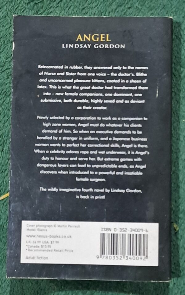 20251106_224333 Angel – Lindsay Gordon secondhand book
