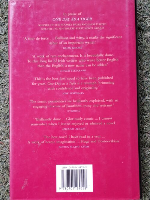 The Far Side Of A Kiss – Anne Haverty secondhand book