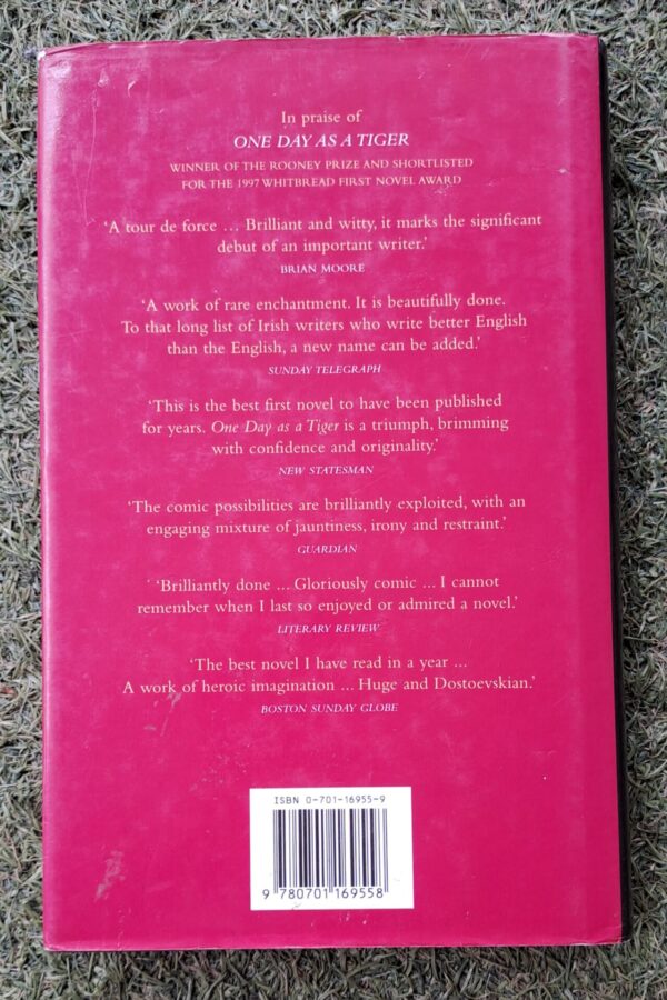 20251108_134618 The Far Side Of A Kiss – Anne Haverty secondhand book