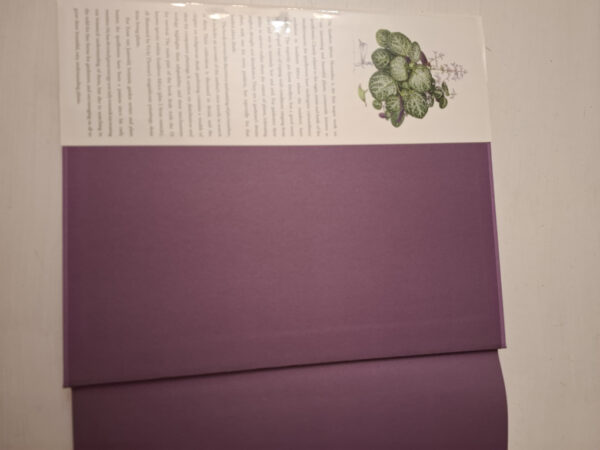 The Southern African Plectranthus – Ernst Van Jaarsveld secondhand book