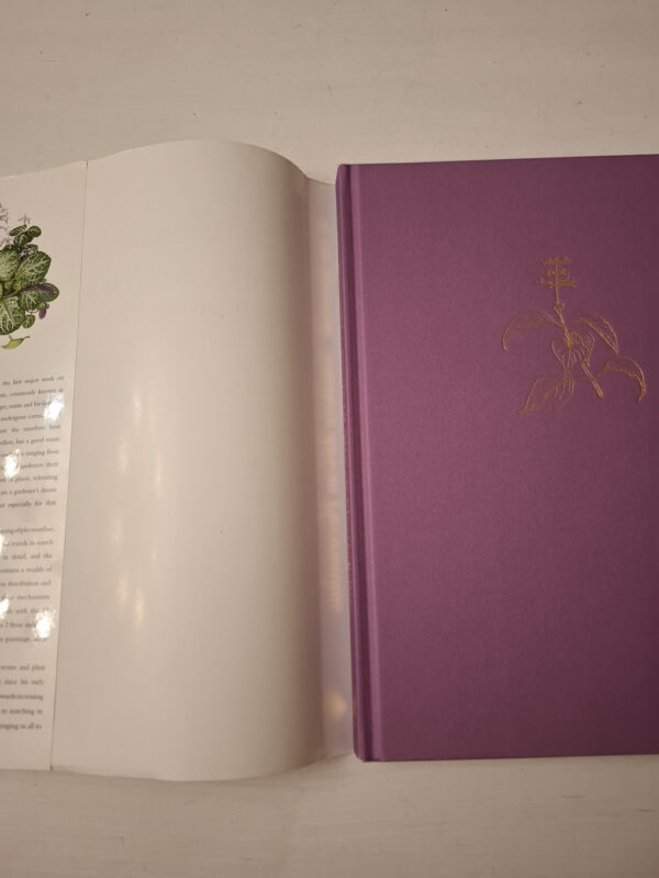The Southern African Plectranthus – Ernst Van Jaarsveld secondhand book