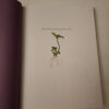 The Southern African Plectranthus – Ernst Van Jaarsveld secondhand book