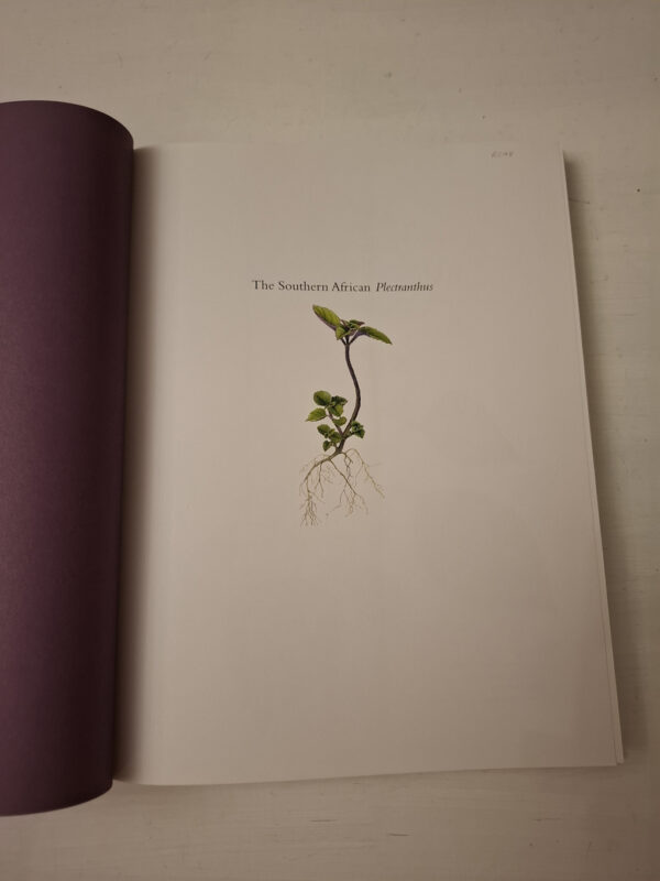 The Southern African Plectranthus – Ernst Van Jaarsveld secondhand book