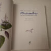The Southern African Plectranthus – Ernst Van Jaarsveld secondhand book