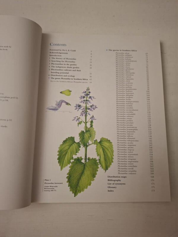 The Southern African Plectranthus – Ernst Van Jaarsveld secondhand book