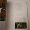 The Southern African Plectranthus – Ernst Van Jaarsveld secondhand book