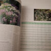 The Southern African Plectranthus – Ernst Van Jaarsveld secondhand book
