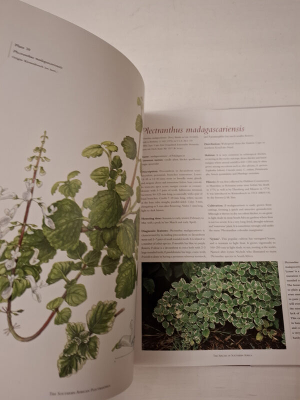 The Southern African Plectranthus – Ernst Van Jaarsveld secondhand book