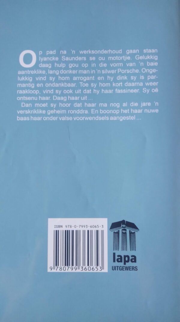 Liefde met permissie – Ria Richards secondhand book