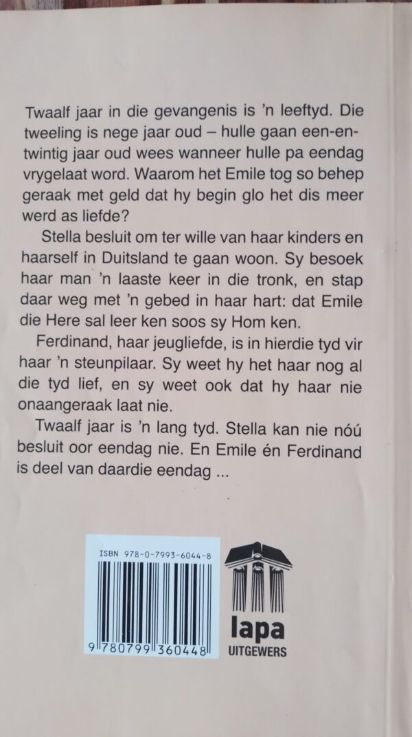 Tere terugblik – Christi van Aswegen secondhand book