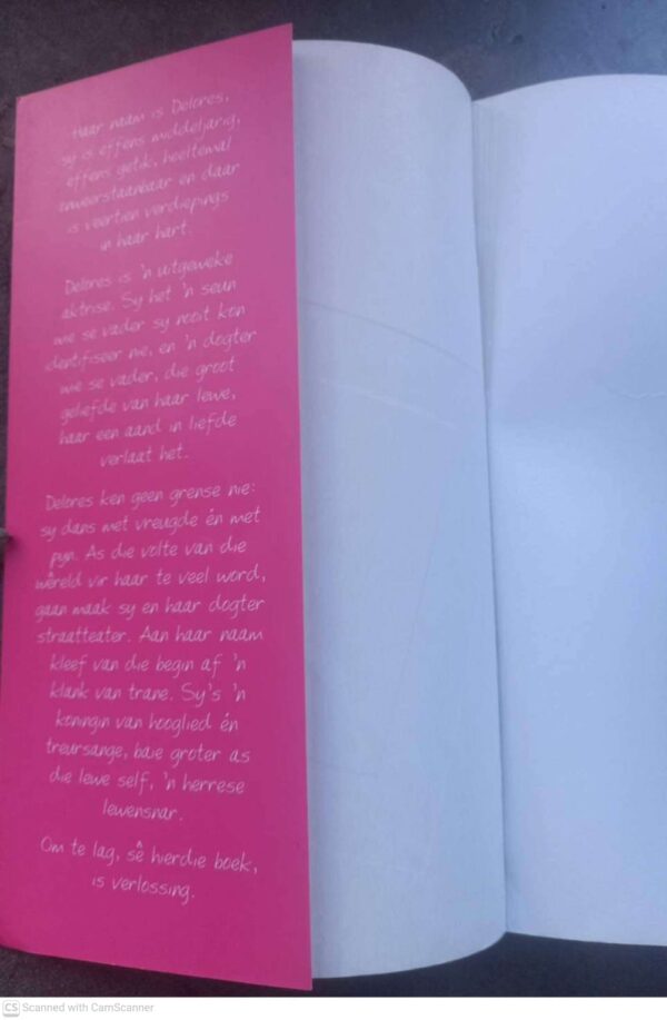 Voorvaders Kan Vlieg3 Voorvaders Kan Vlieg, Sê Delores – Reinet Nagtegaal secondhand book