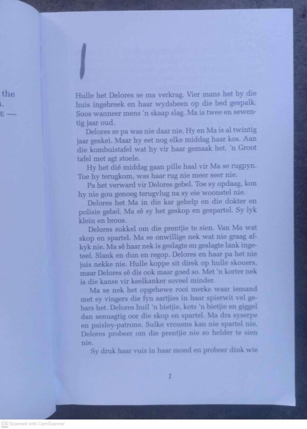 Voorvaders Kan Vlieg6 Voorvaders Kan Vlieg, Sê Delores – Reinet Nagtegaal secondhand book